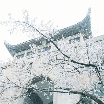 相约北京冬奥 共赴冰雪盛会（北京冬奥会开幕倒计时一周年·特别报道）